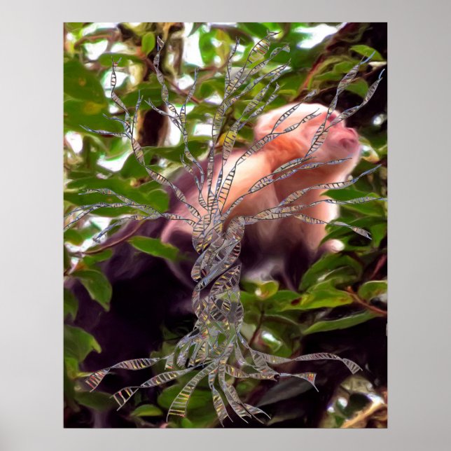 DNA TREE or Tree of Life POSTER MONKEY BACKGROUND (Front)