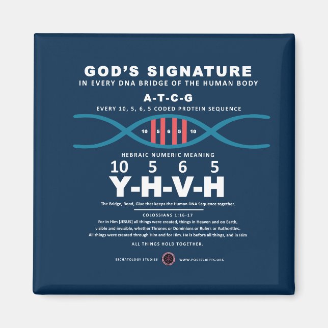 DNA-YHVH Code Magnet (Front)