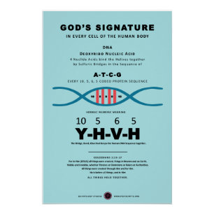 DNA-YHVH Code Poster