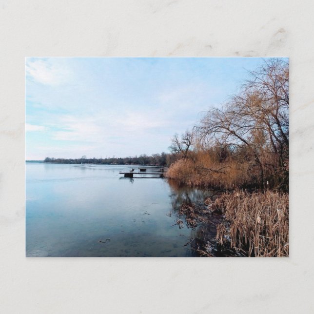  Dnieper River with reed thickets in Ukraine Postcard (Front)