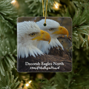 DNN feat. Mr. North Ceramic Ornament