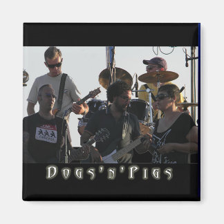 D'n'P Band Magnets 2