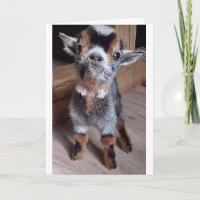 DO A BABY GOAT A FAVOR "HAPPY 55th BIRTHDAY" CARD (Front)