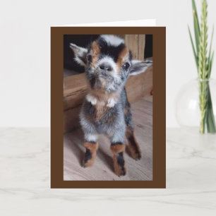 DO BABY GOAT A FAVOR "HAVE A HAPPY 13th BIRTHDAY" Card