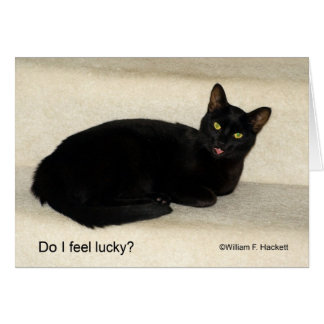 Do I feel lucky? Black CAt California Products