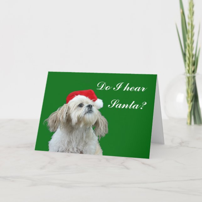 Do I hear Santa? Holiday Card (Front)