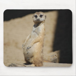 Do I look fat? Mouse Mat