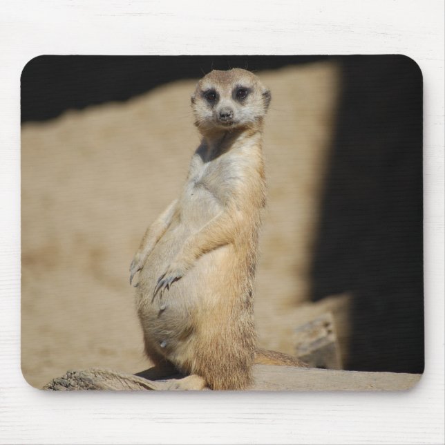 Do I look fat? Mouse Mat (Front)