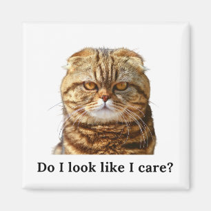 "Do I look like I care" Grumpy Cat Magnet