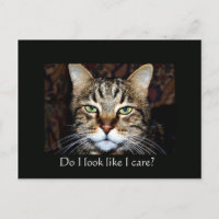 Do I look like I care?