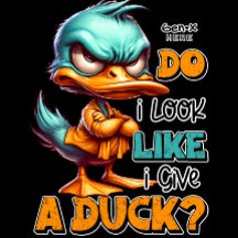 Do I Look Like I Give A Duck Sarcastic