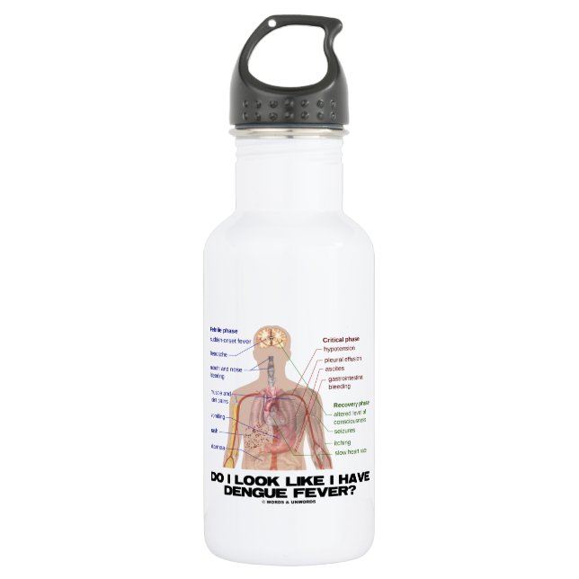 Do I Look Like I Have Dengue Fever (Anatomy) 532 Ml Water Bottle (Front)