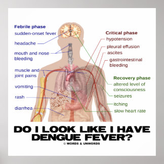 Do I Look Like I Have Dengue Fever? (Anatomy) Poster