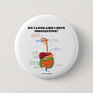Do I Look Like I Have Indigestion? (Medical) 6 Cm Round Badge
