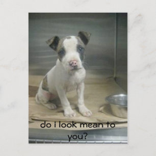 Do I look mean to you? Postcard