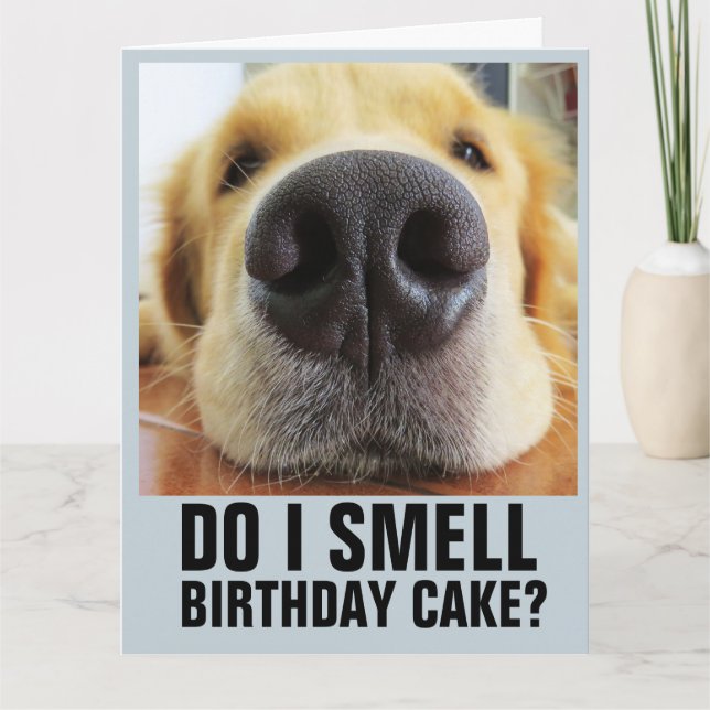 DO I SMELL BIRTHDAY CAKE? FUNNY CLOSEUP DOG CARDS (Front)