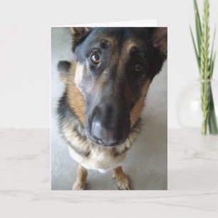 Do I smell cake?  Birthday wishes... Card