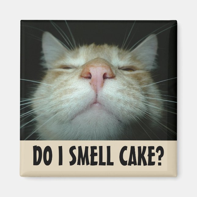DO I SMELL CAKE? FUNNY ORANGE CAT MAGNETS (Front)