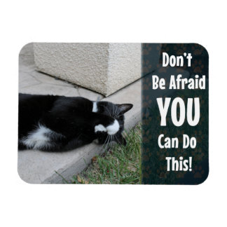 Do Not Be Afraid Cat Motivational Saying Magnet