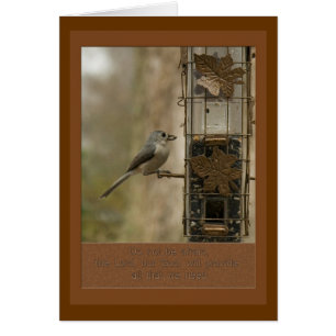 do not be afraid God will provide  bird on feeder