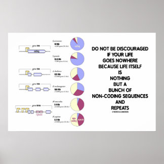 Do Not Be Discouraged Life Non-Coding Sequences Poster
