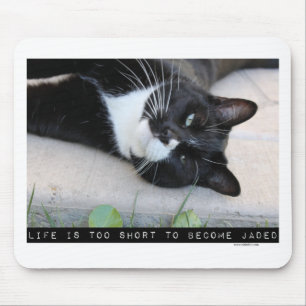 Do Not Be Jaded Funny Cat Motivation Quote Mouse Mat