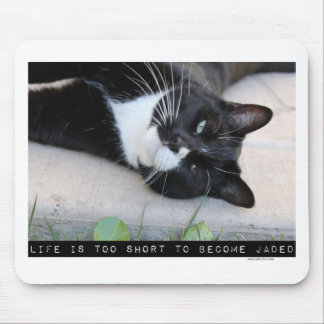Do Not Be Jaded Funny Cat Motivation Quote Mouse Mat