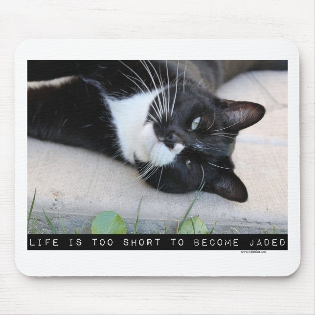 Do Not Be Jaded Funny Cat Motivation Quote Mouse Mat (Front)