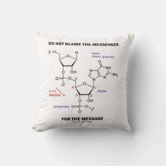 Do Not Blame The Messenger For The Message Cushion