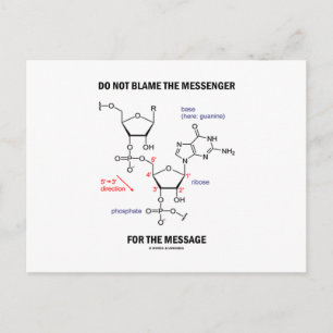 Do Not Blame The Messenger For The Message Postcard