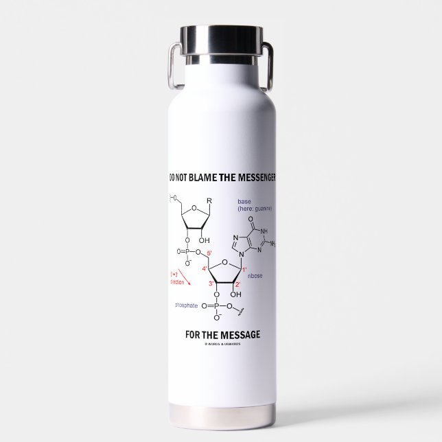 Do Not Blame The Messenger For The Message Water Bottle (Front)