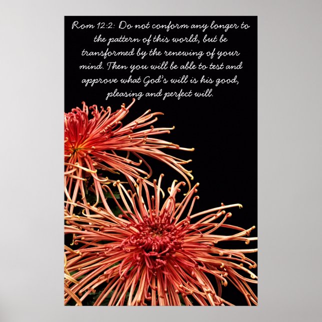 Do not conform any longer poster (Front)