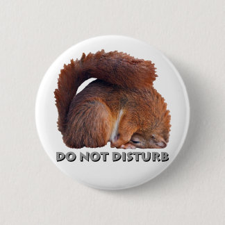 Do Not Disturb Badge