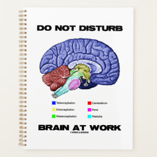 Do Not Disturb Brain At Work Anatomical Advice Planner