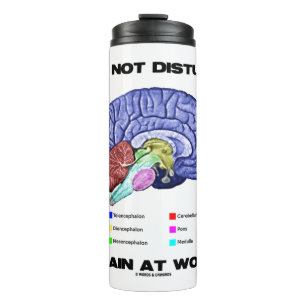 Do Not Disturb Brain At Work Anatomical Advice Thermal Tumbler