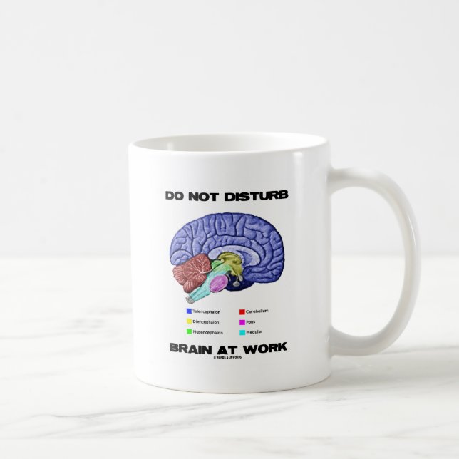 Do Not Disturb Brain At Work (Anatomical Humour) Coffee Mug (Right)