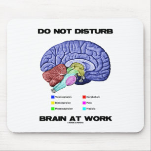Do Not Disturb Brain At Work (Anatomical Humour) Mouse Mat