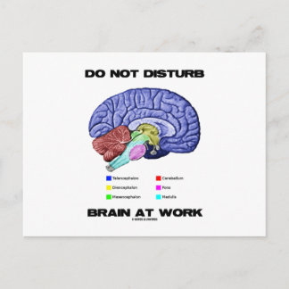 Do Not Disturb Brain At Work (Anatomical Humour) Postcard