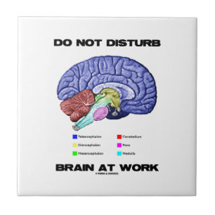 Do Not Disturb Brain At Work (Anatomical Humour) Tile