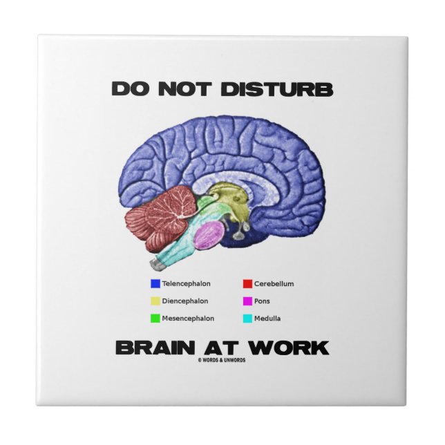 Do Not Disturb Brain At Work (Anatomical Humour) Tile (Front)