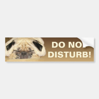 Do Not Disturb Bumper Sticker