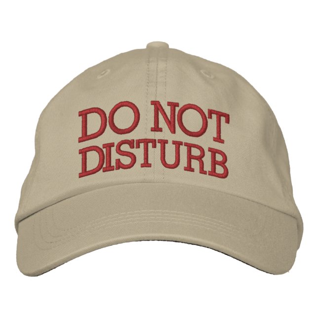 Do Not Disturb by SRF Embroidered Hat (Front)