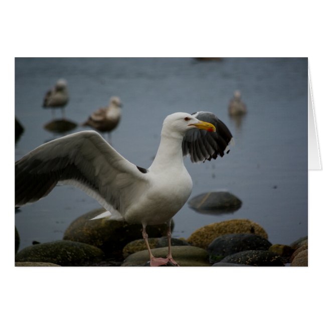 Do Not Disturb Card (Front Horizontal)