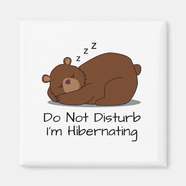 Do Not Disturb Funny Sleeping Bear Magnet (Front)