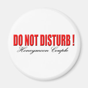 Do Not Disturb Honeymoon Couple Magnet
