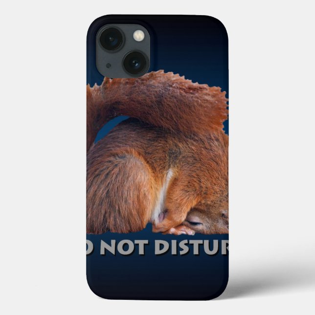 Do Not Disturb iPad Case (Blue/Black) (Back)