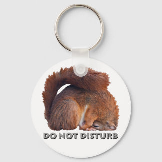 Do Not Disturb Keyring