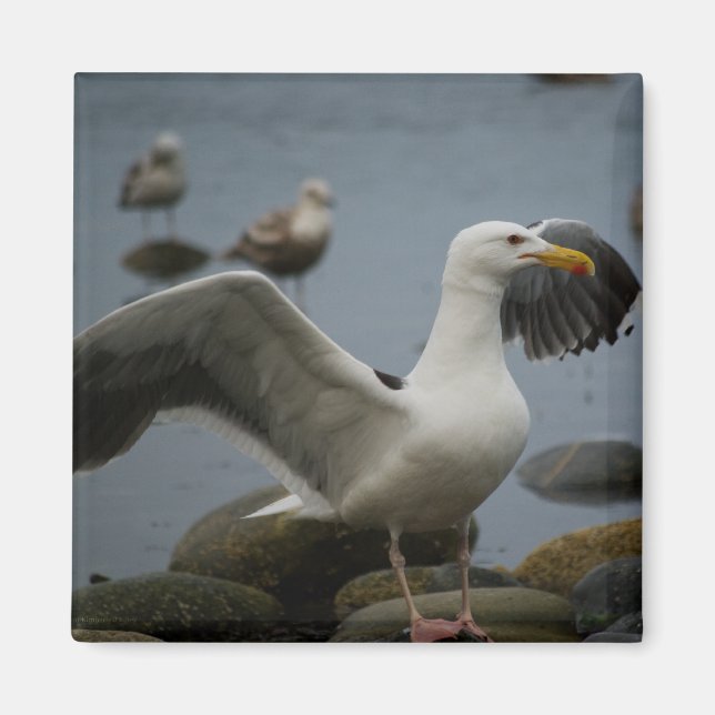 Do Not Disturb Magnet (Front)