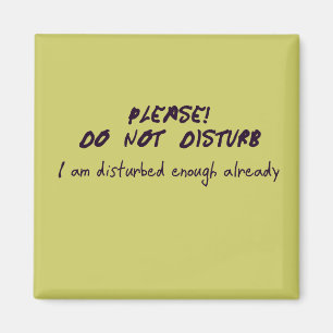 Do Not Disturb Magnet