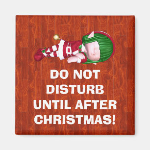 Do Not Disturb Magnet